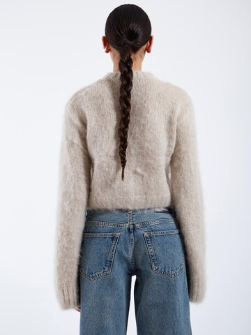 Dr. Denim Trui 'Moira' in Grijs
