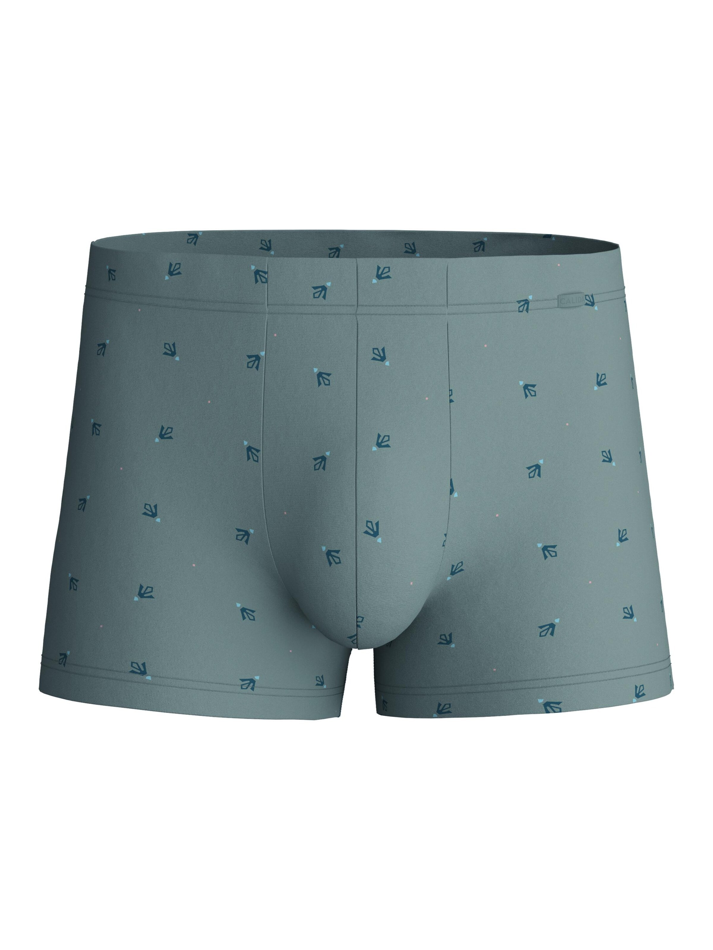 CALIDA Boxer shorts 'Grafic Cotton' in Grey: front