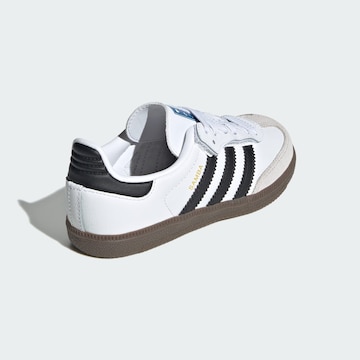 ADIDAS ORIGINALS Sneakers 'Samba' in Wit