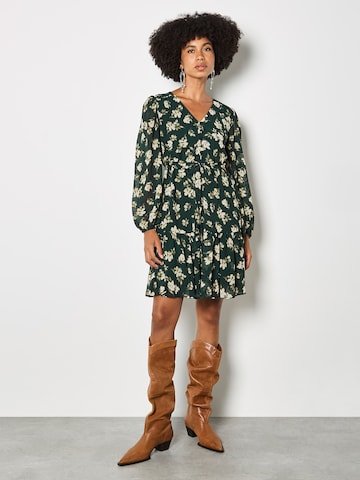 Abito di Apricot in verde