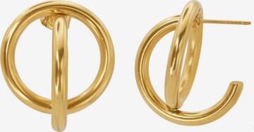 Heideman Earrings 'Uma' in Gold