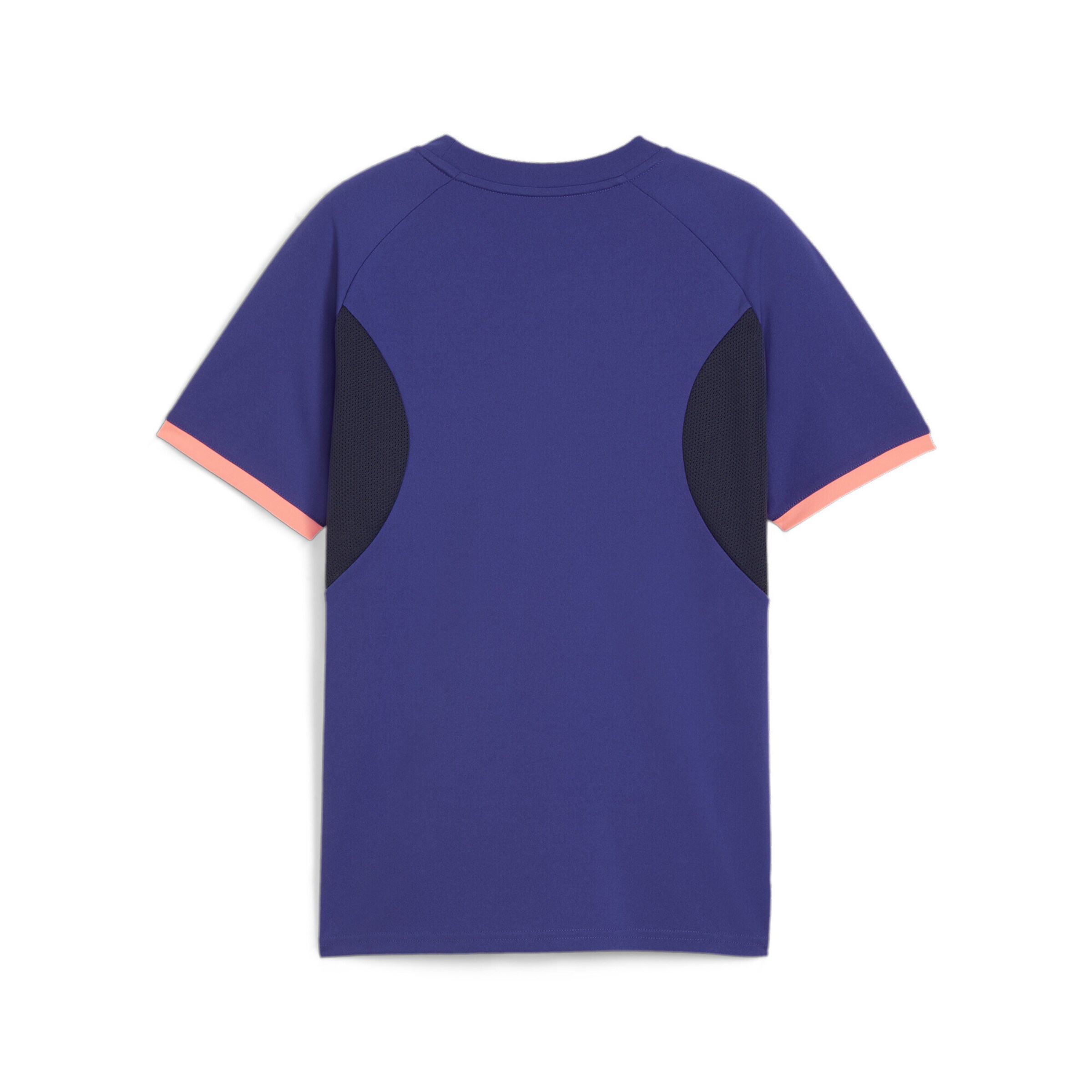 PUMA Funktionsshirt 'IndividualLIGA' in Blau