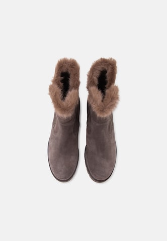 Bottines GABOR en gris