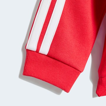 ADIDAS SPORTSWEAR Trainingsanzug in Rot