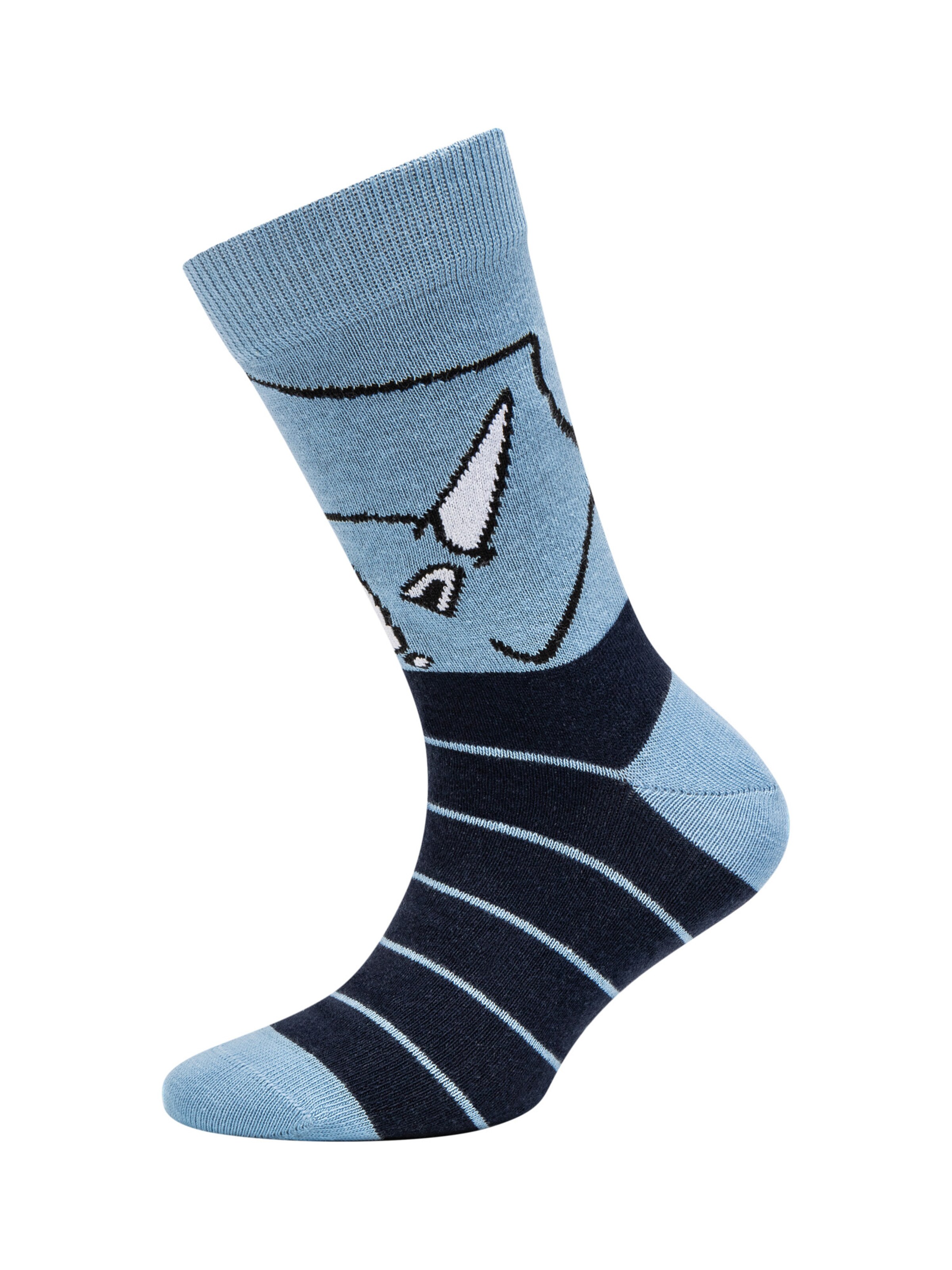 camano Socks in Mixed colors