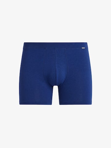 Boxers Blackspade en bleu : devant