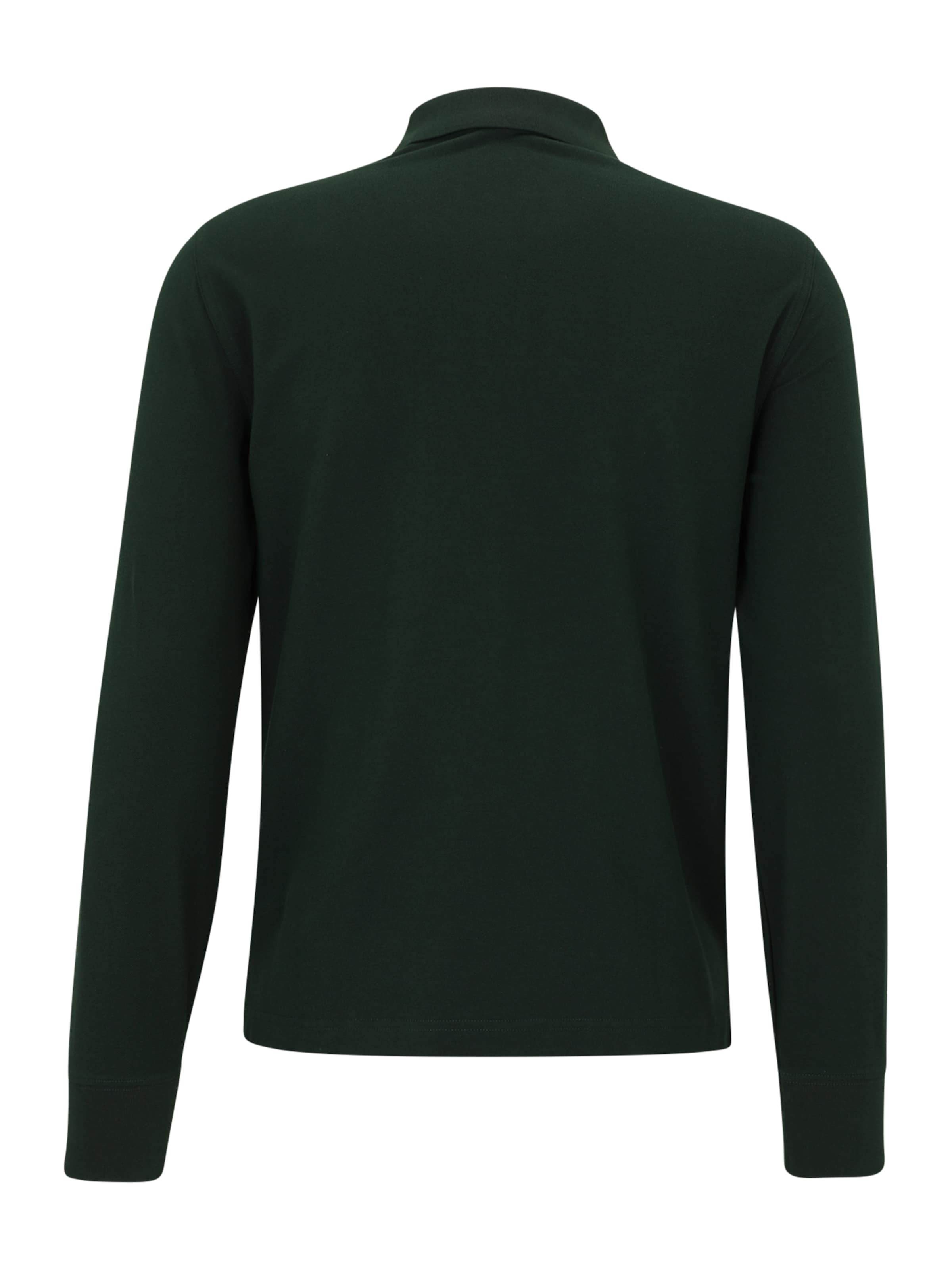 GANT - Ajuste regular Camiseta en verde