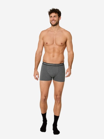 Nur Die Boxer shorts in Grey: front