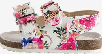 Baker by Ted Baker Sandaalit värissä valkoinen: etupuoli