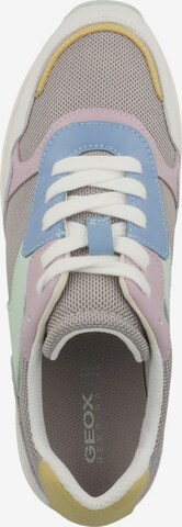 GEOX Sneaker low ' D Runntix B ' in Mischfarben