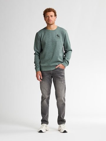 Petrol Industries Sweatshirt 'Telluride' in Green