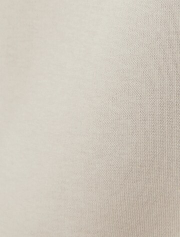 Koton Sweatshirt in Grey