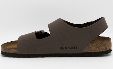 BIRKENSTOCK Mules in Brown: front