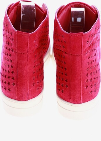 Giancarlo Paoli Sneakers & Trainers in 36 in Pink