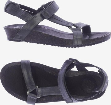 TEVA Sandalen 36 in Grau: predná strana