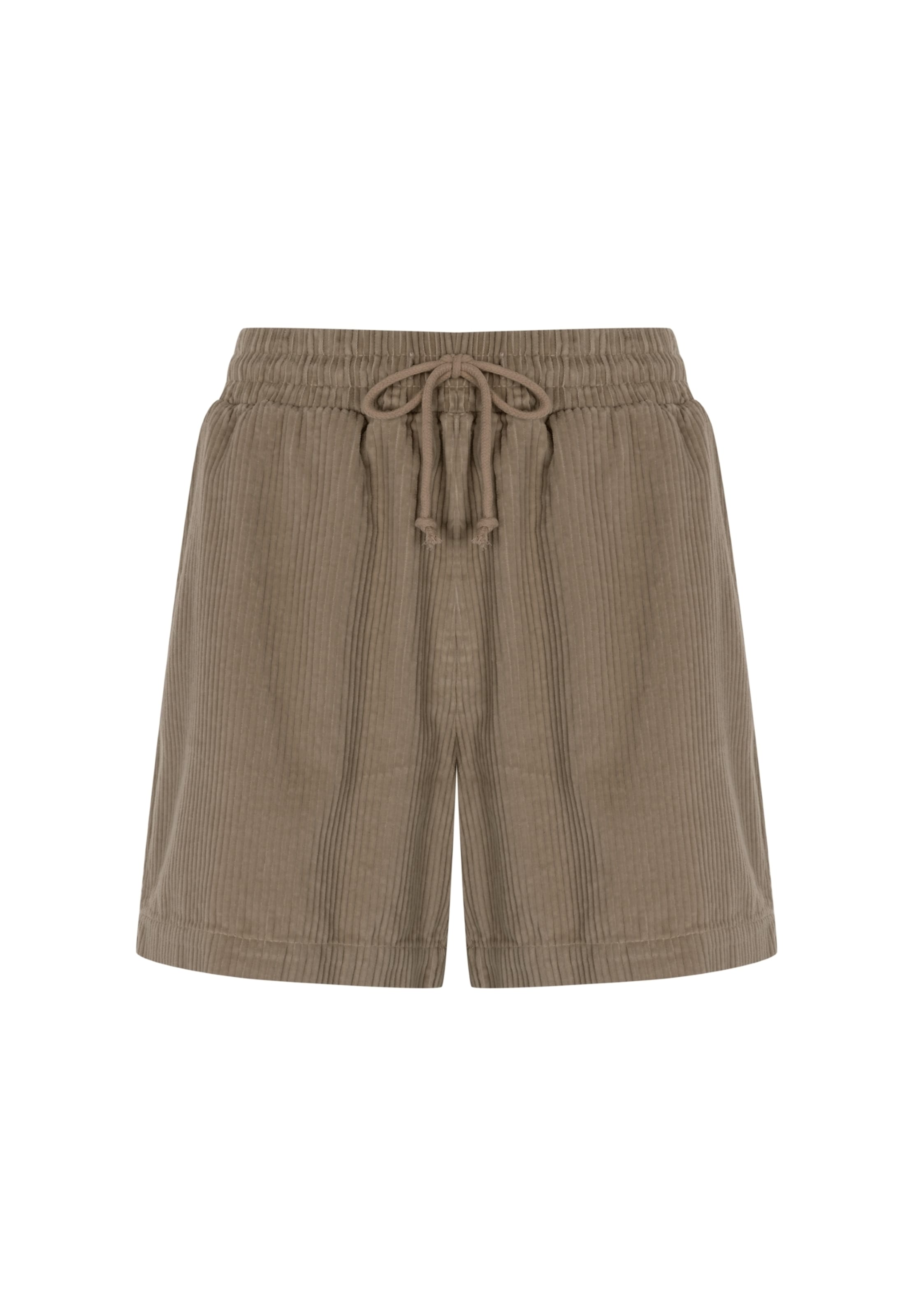 FRESHLIONS Regular Trousers 'Mira' in Brown: front