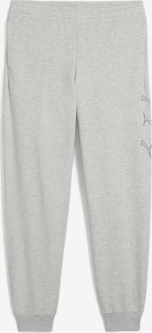 PUMA Pants in Grey: front