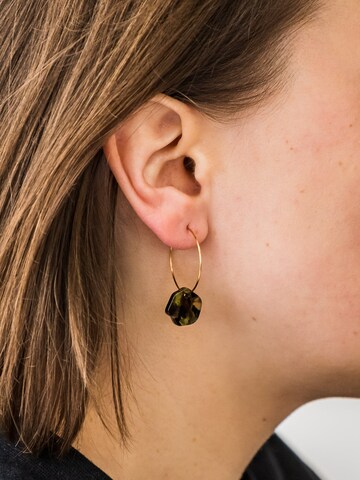 Fräulein Wunder - Brincos 'Acetat Creolen Alice' em verde