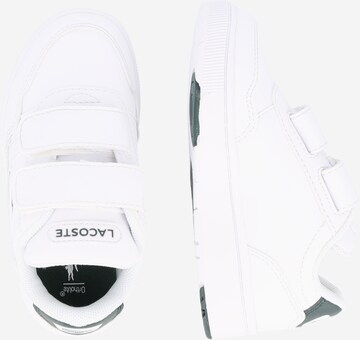 Baskets LACOSTE en blanc