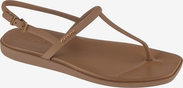 Crocs Zehentrenner 'Miami Thong Flip' in Braun: Vorderseite