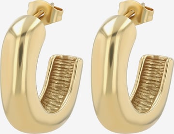 Akzent Earrings 'Vilma, langlebig' in Gold: front