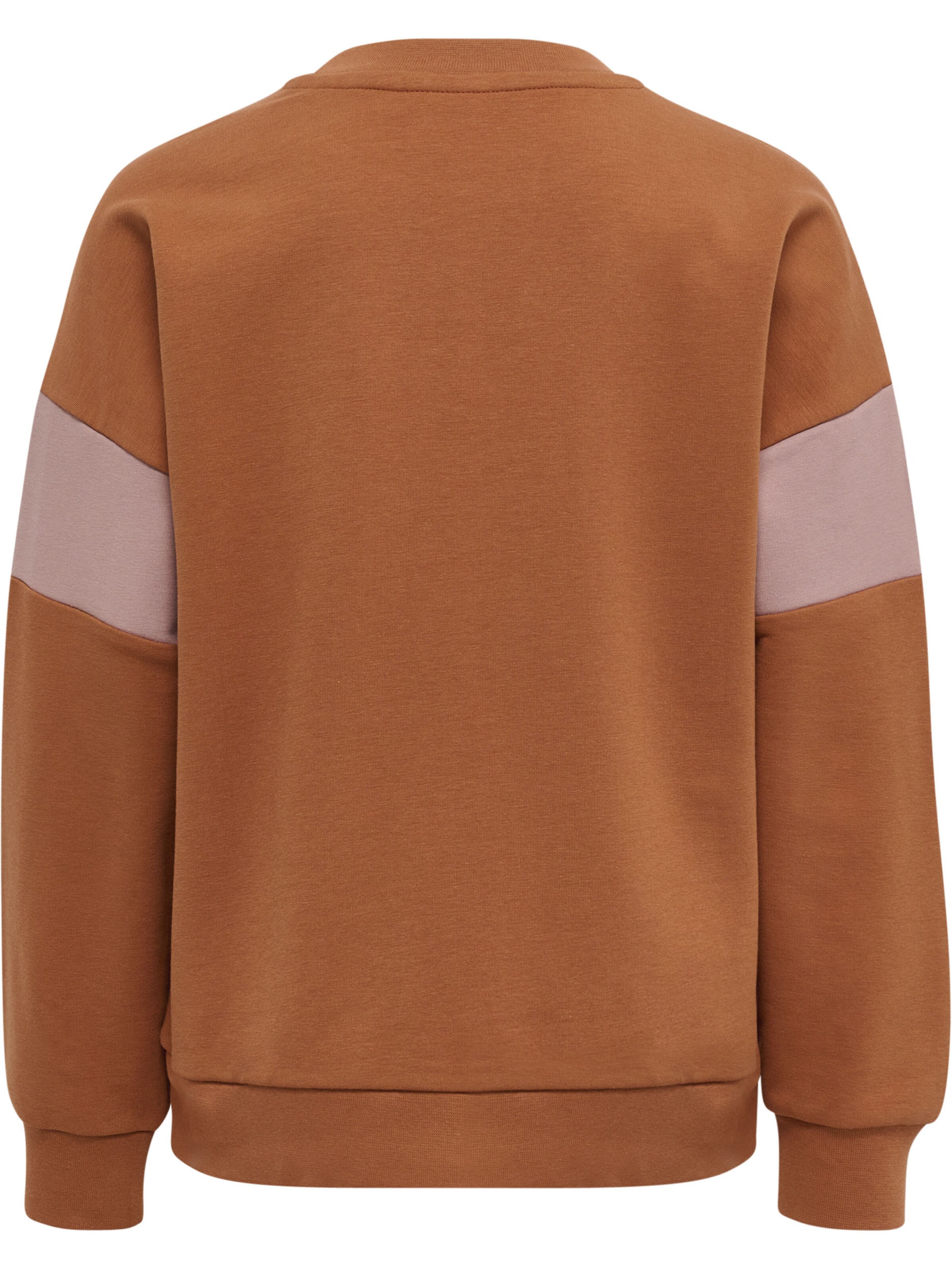 Hummel Sweatshirt in Brown