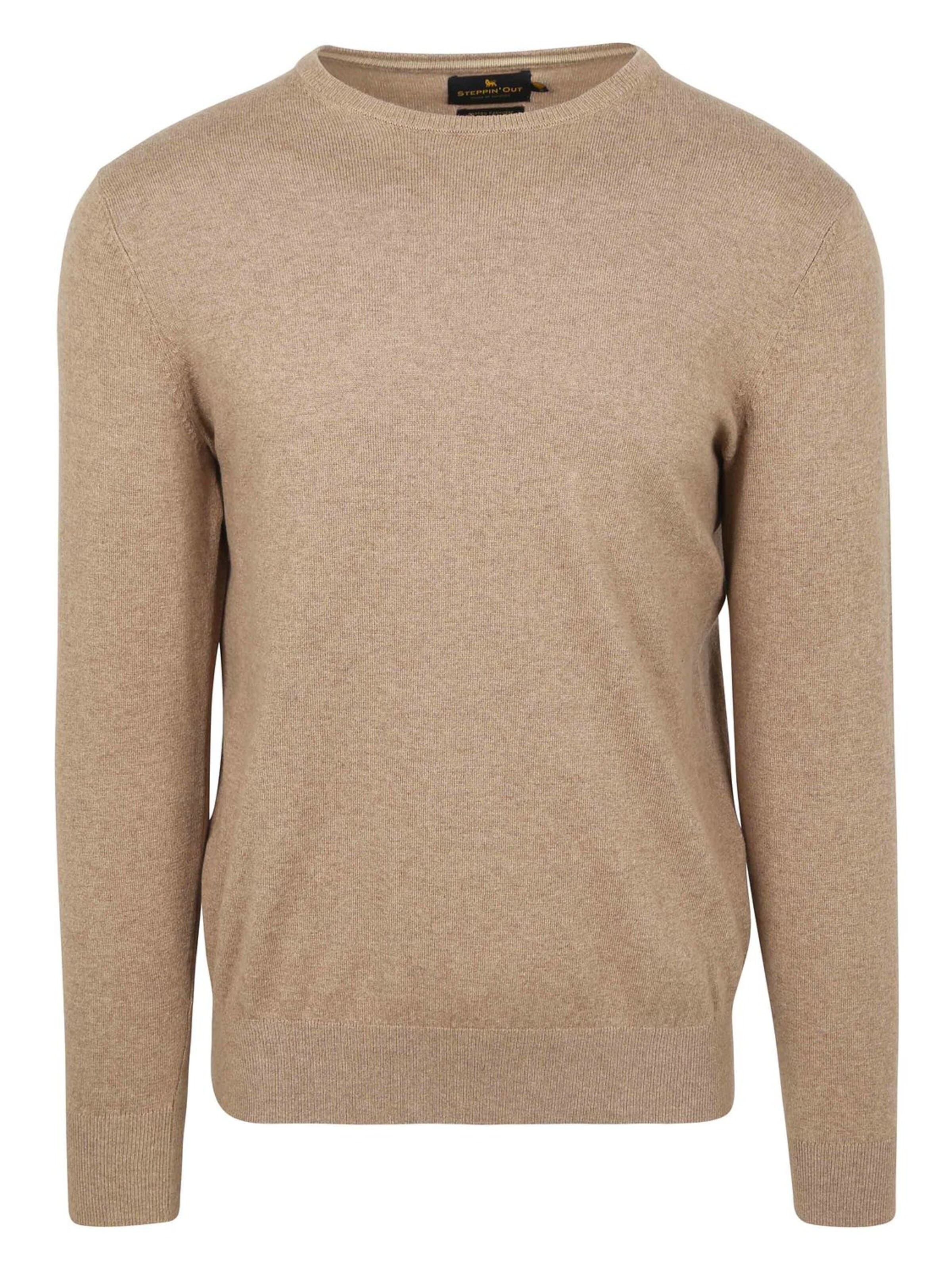 Steppin' out Trui in Beige: voorkant