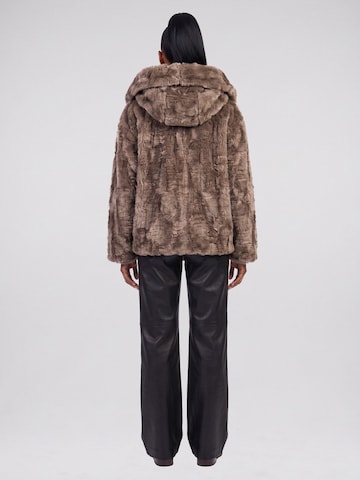 BLONDE No. 8 Between-season jacket 'Anjy' in Brown