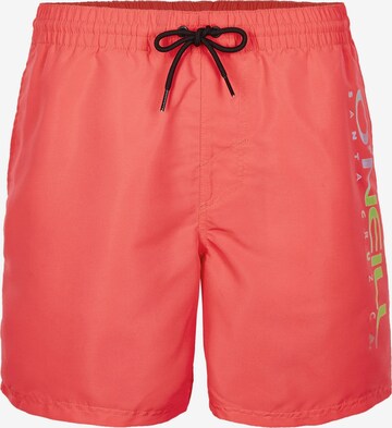 Shorts de bain 'Cali' O'NEILL en rose : devant