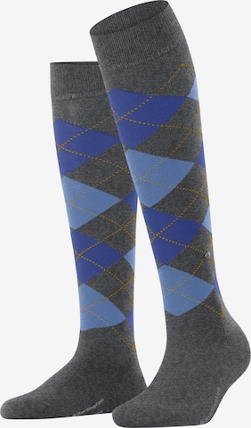 BURLINGTON Over the Knee Socks 'Marylebone' in Grey: front