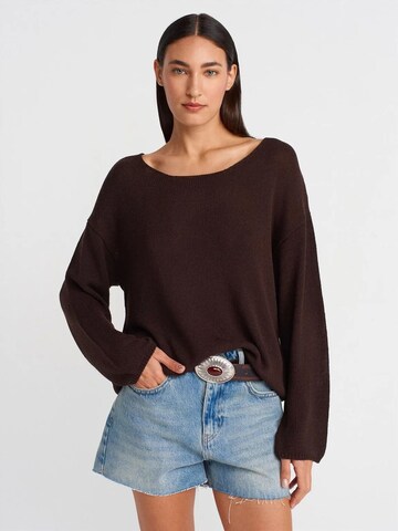 Pullover di Dilvin in marrone: frontale