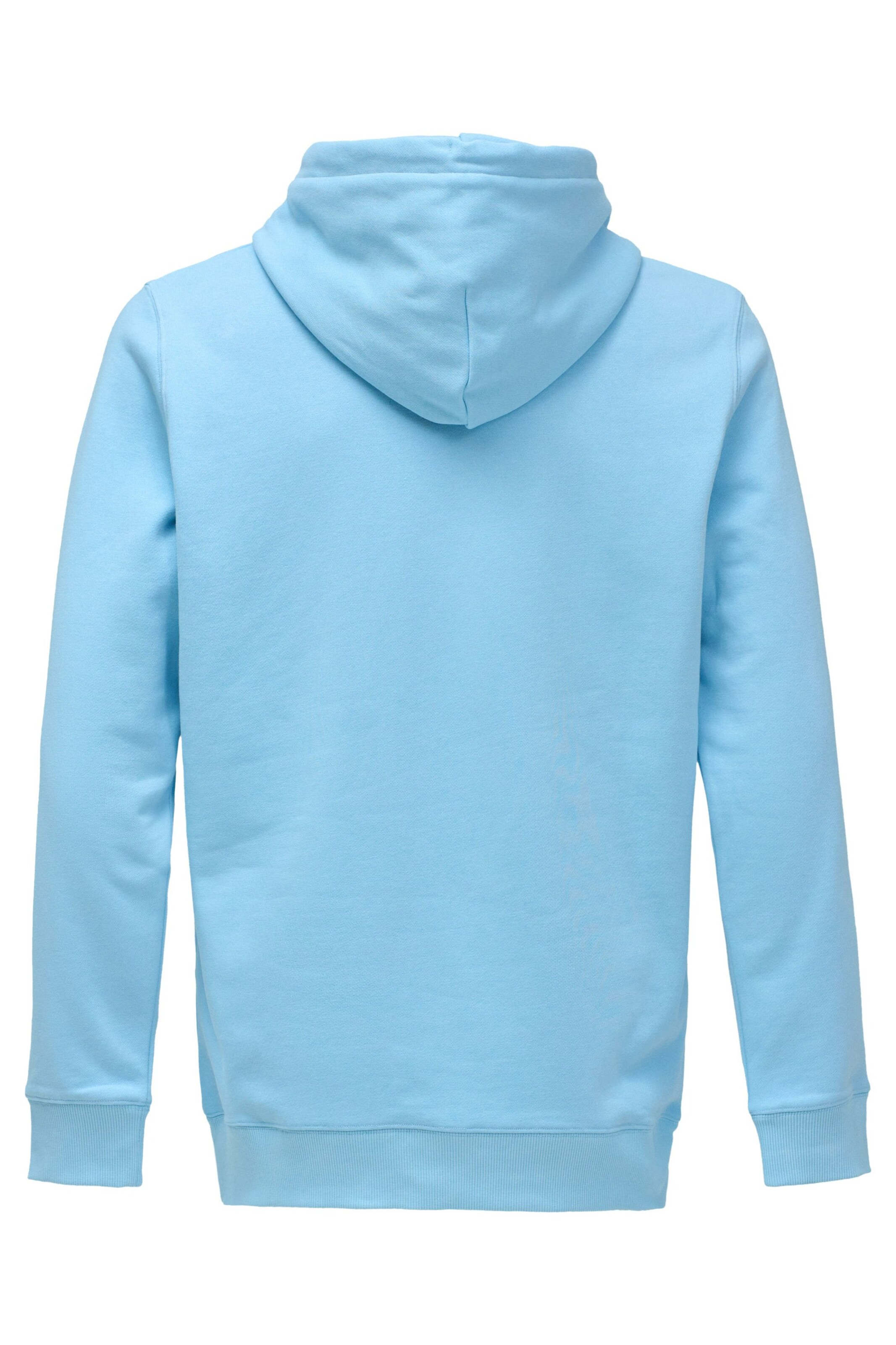 Salsa Jeans Sweatshirt in Blau