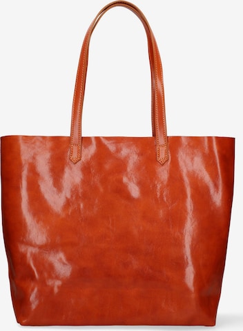 Viola Castellani Schultertasche in Braun: Vorderseite