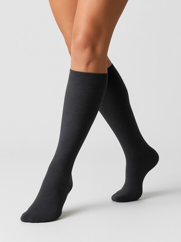 NERS Knee High Socks 'Novera' in Grey