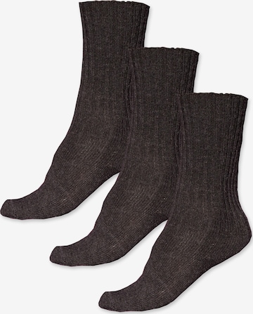 Posh Gear Socks 'Calzedere' in Brown: front