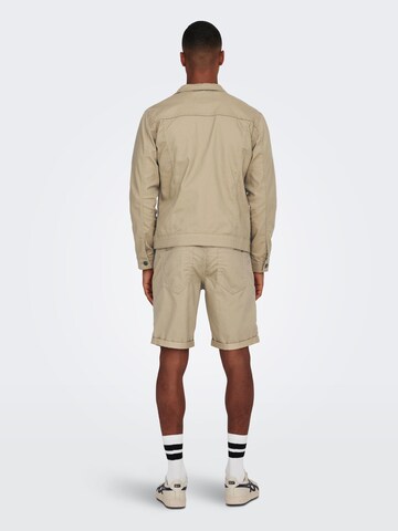 Only & Sons Regular Shorts 'Ply' in Beige