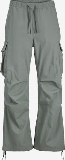 Pantaloni cargo 'Zayn' JACK & JONES di colore abete, Visualizzazione prodotti