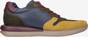 Callaghan Sneakers in Mixed colors
