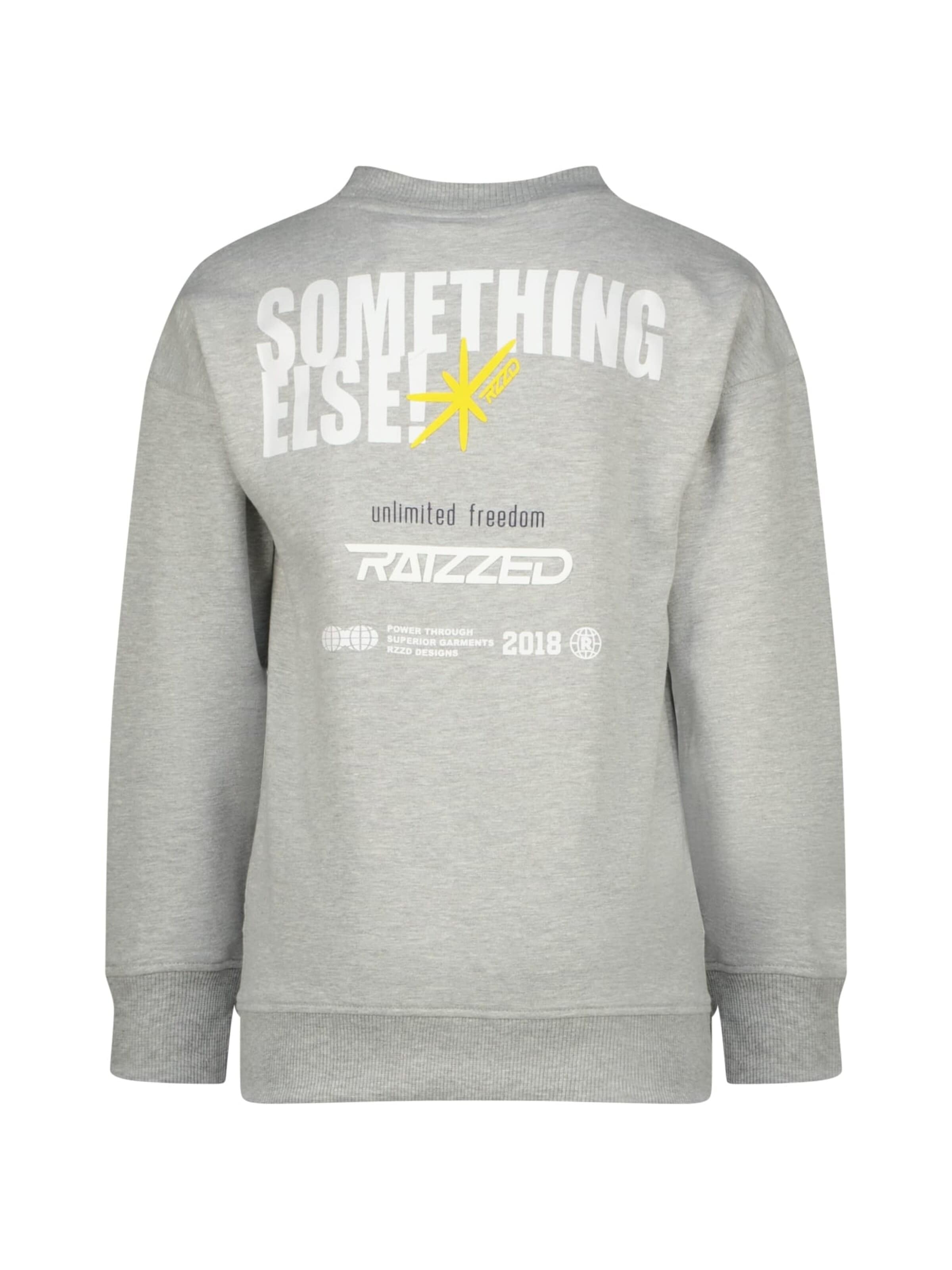 Raizzed Sweater in Grey
