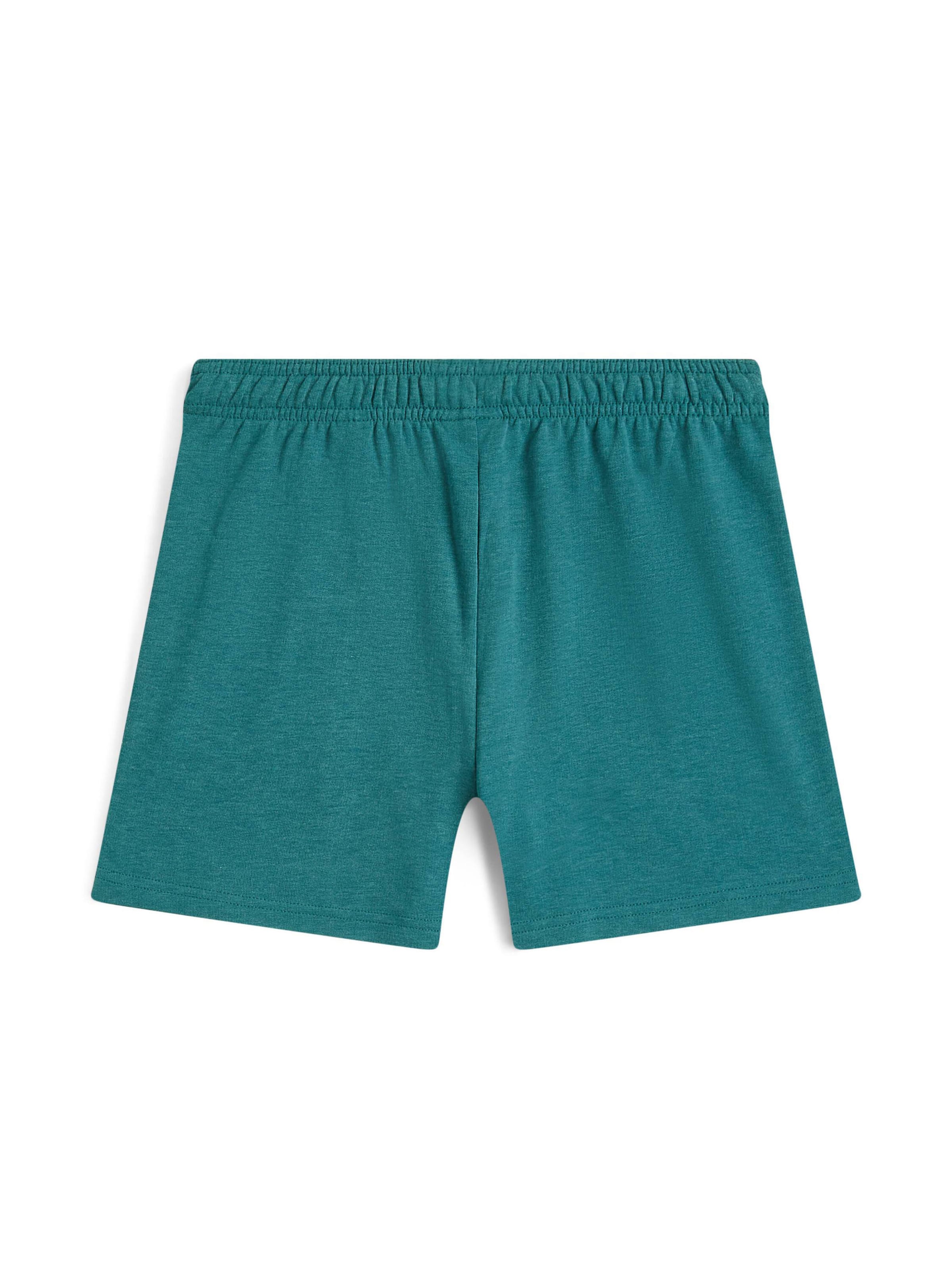 O'NEILL Regular Shorts 'Essentials' in Grün