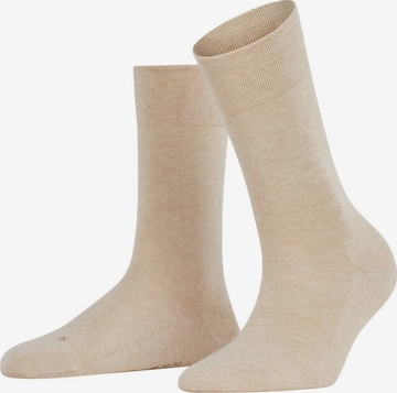 FALKE Socken in Beige: predná strana