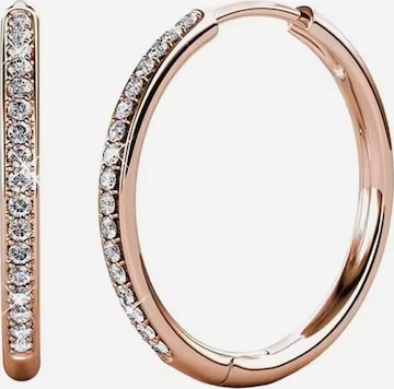 ROUGEMONT Jewellery Earrings in Gold: front