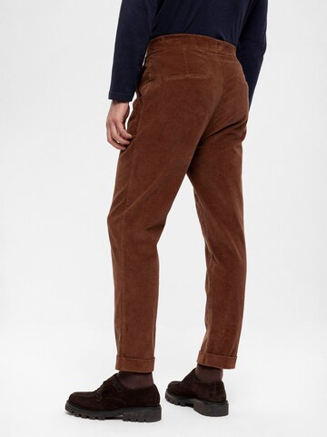 Regular Pantalon à pince Antioch en marron