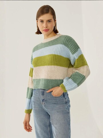 HiccupPulover 'Pullover' - zelena boja
