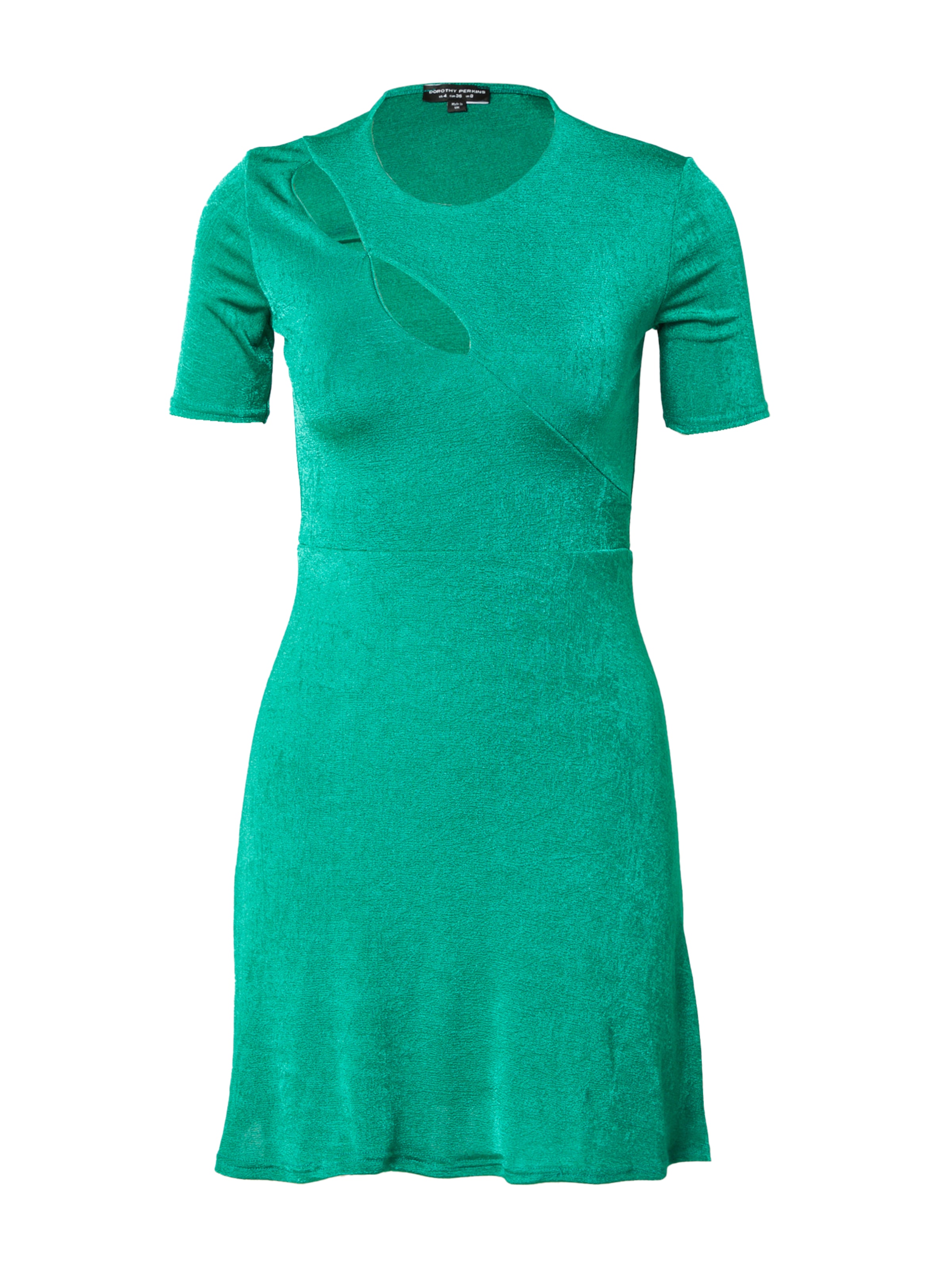 Dorothy Perkins Kleid in Grün: Vorderseite