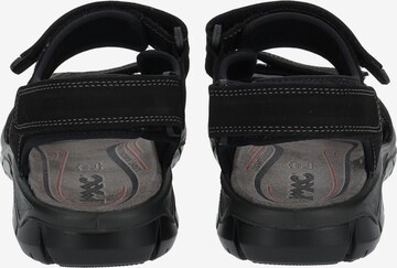 IMAC Hiking Sandals in Black