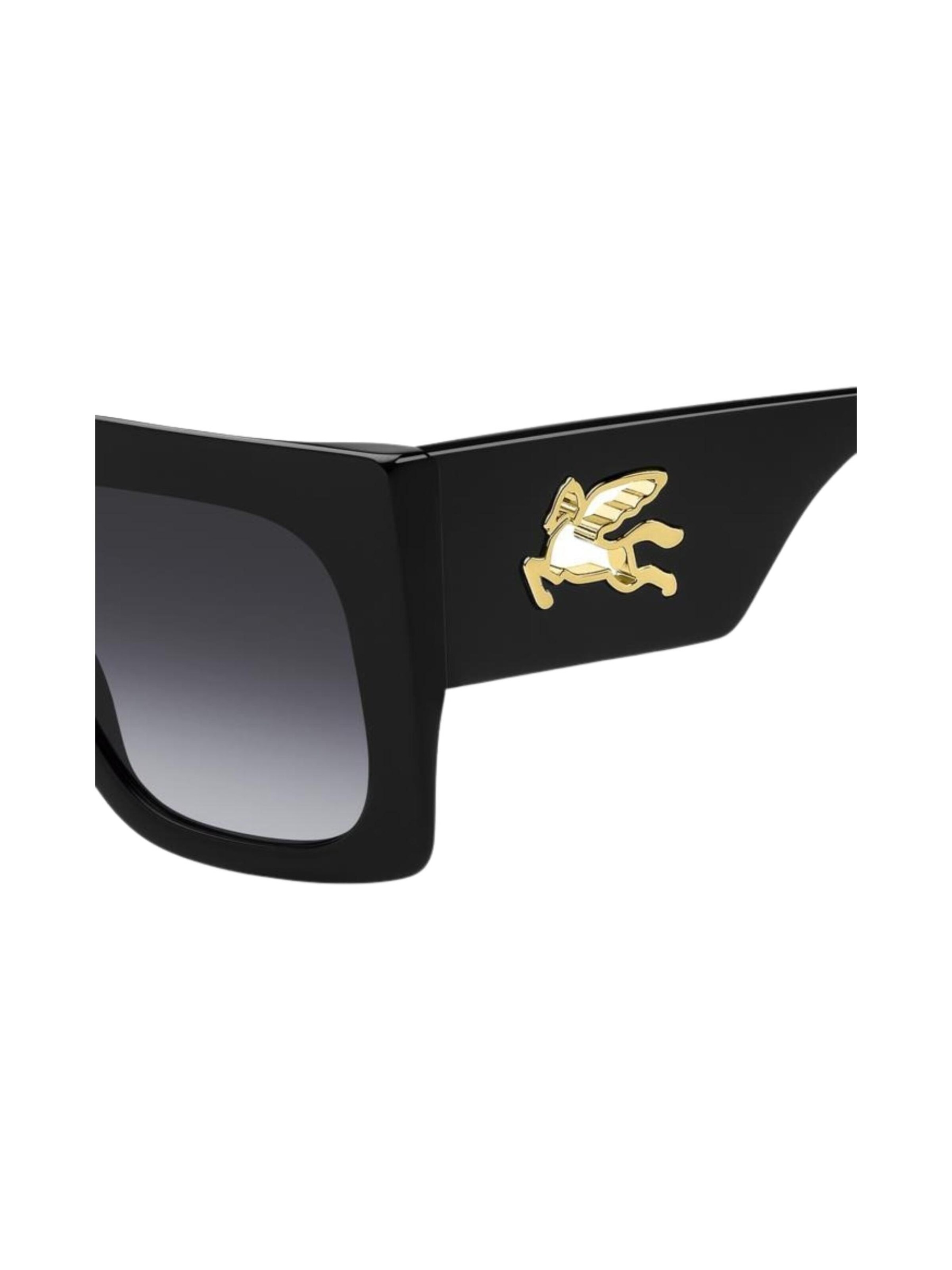 Etro Sunglasses in Black