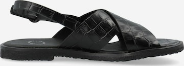 Ca'Shott Szandálok ' CASGITTA ' - fekete: elől