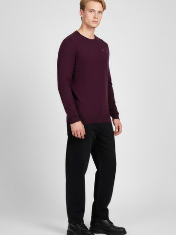 Karl Lagerfeld Pullover in Rot