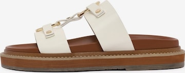 Mule Derimod en marron : devant